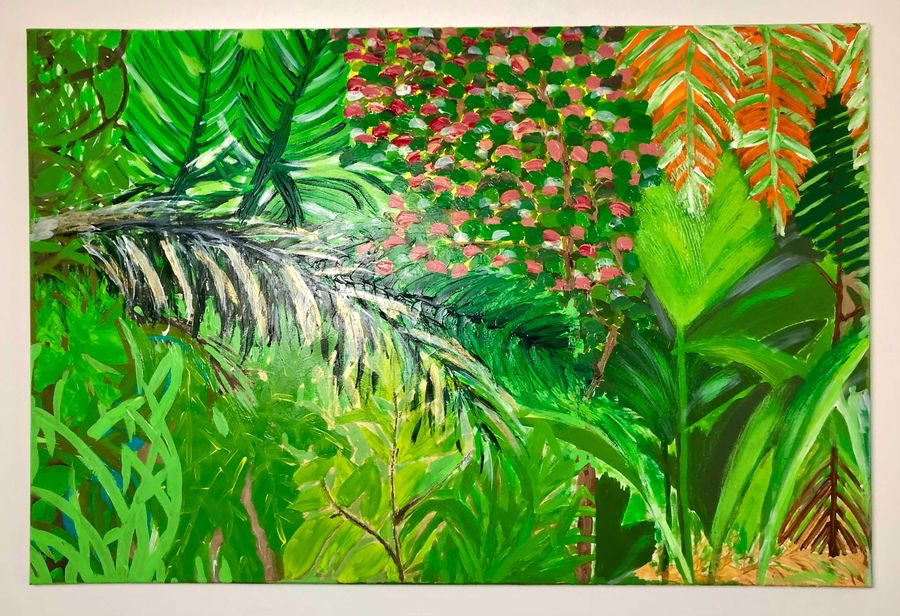 Endemic Plants of the Seychelles