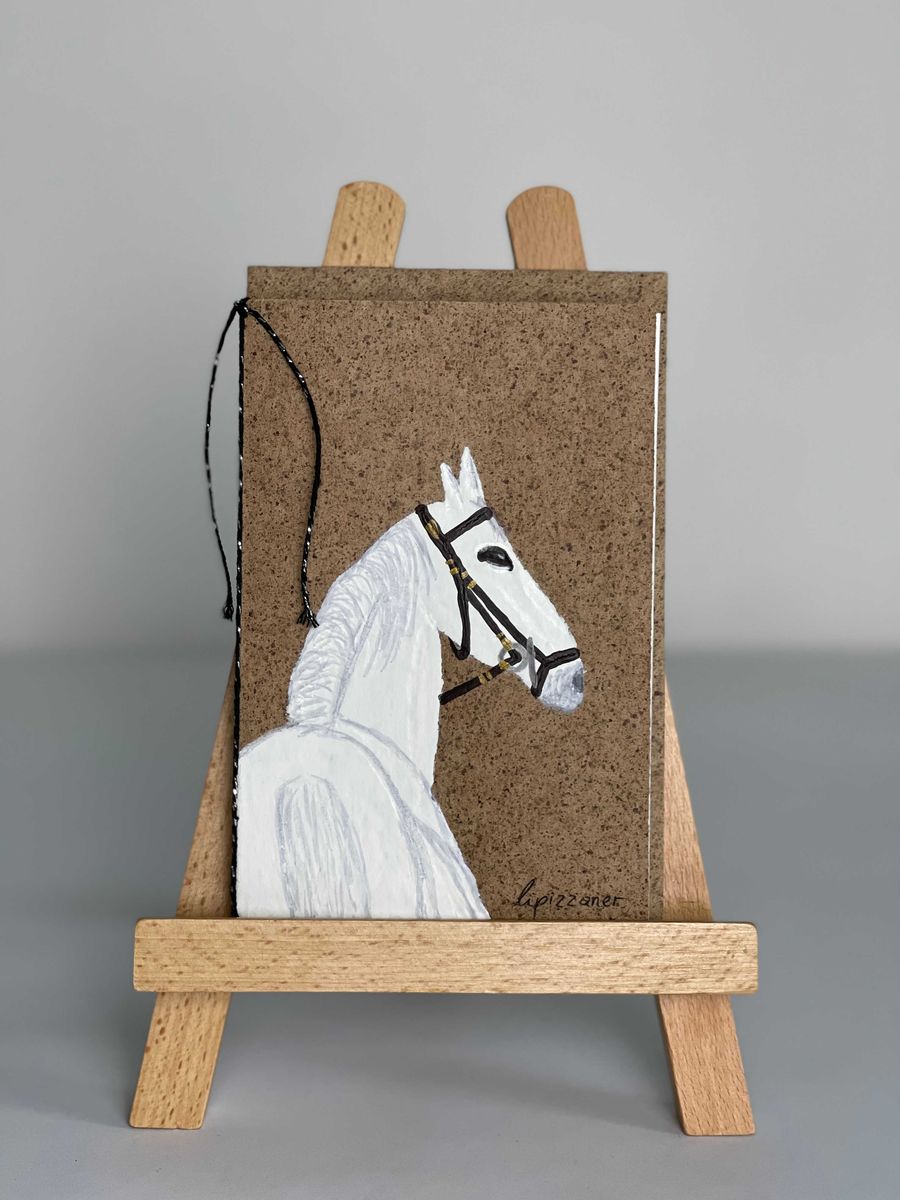 Lipizzaner - Neapolitano Nima I